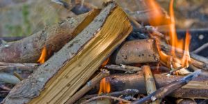 Best Wood for Smoking Ham