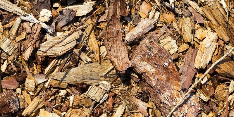 Best Wood for Smoking Turkey: Light Hardwoods