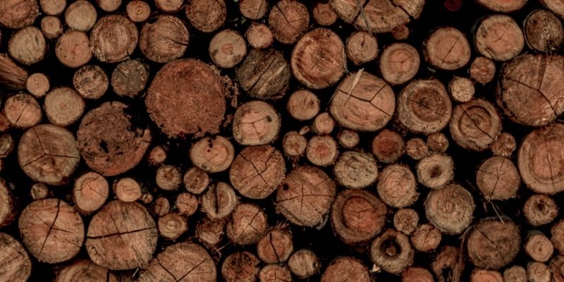 Tips for Choosing Wood for Smoking Turkey